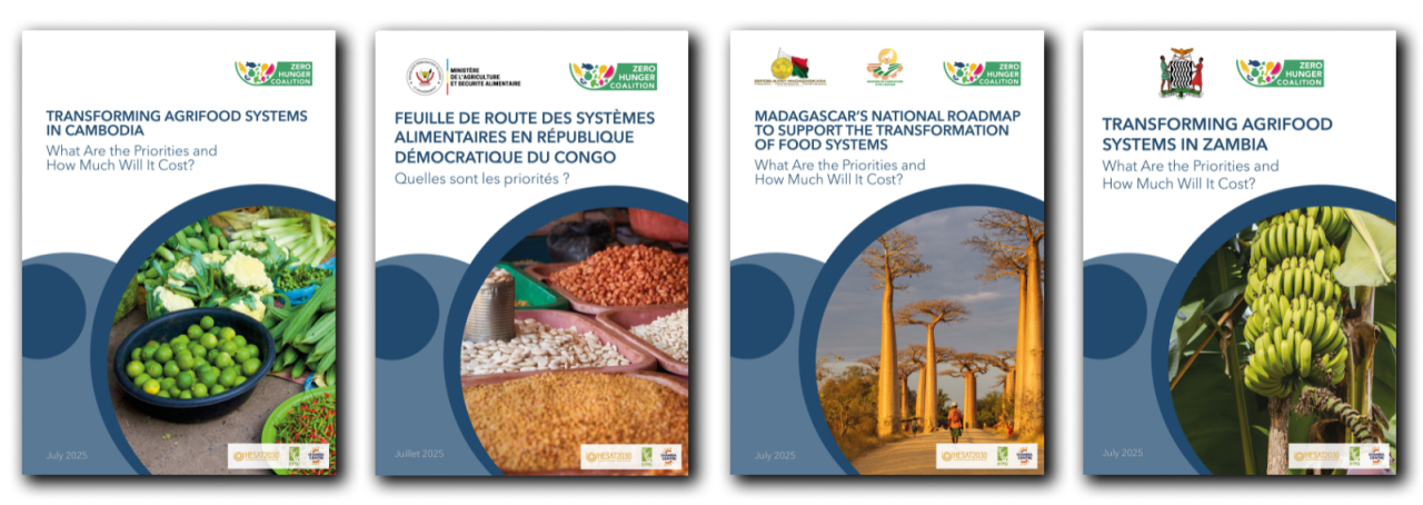 Focus areas | The Zero Hunger Coalition